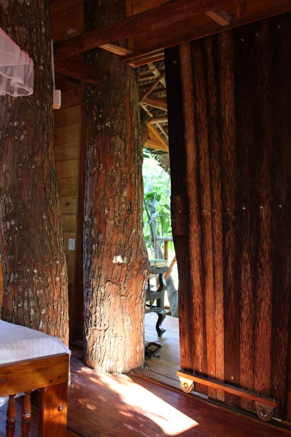 Villa Tree House-Midigama Weligama Exterior foto