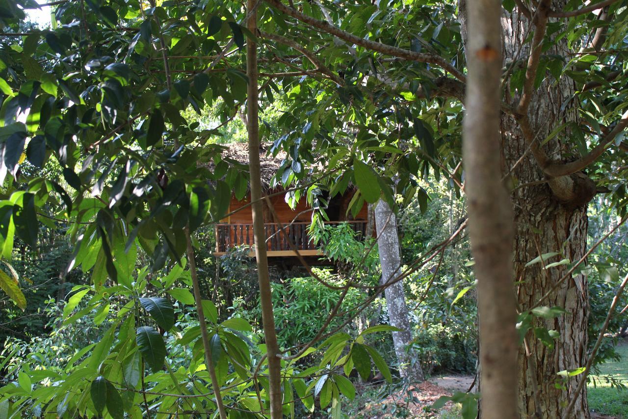 Villa Tree House-Midigama Weligama Exterior foto