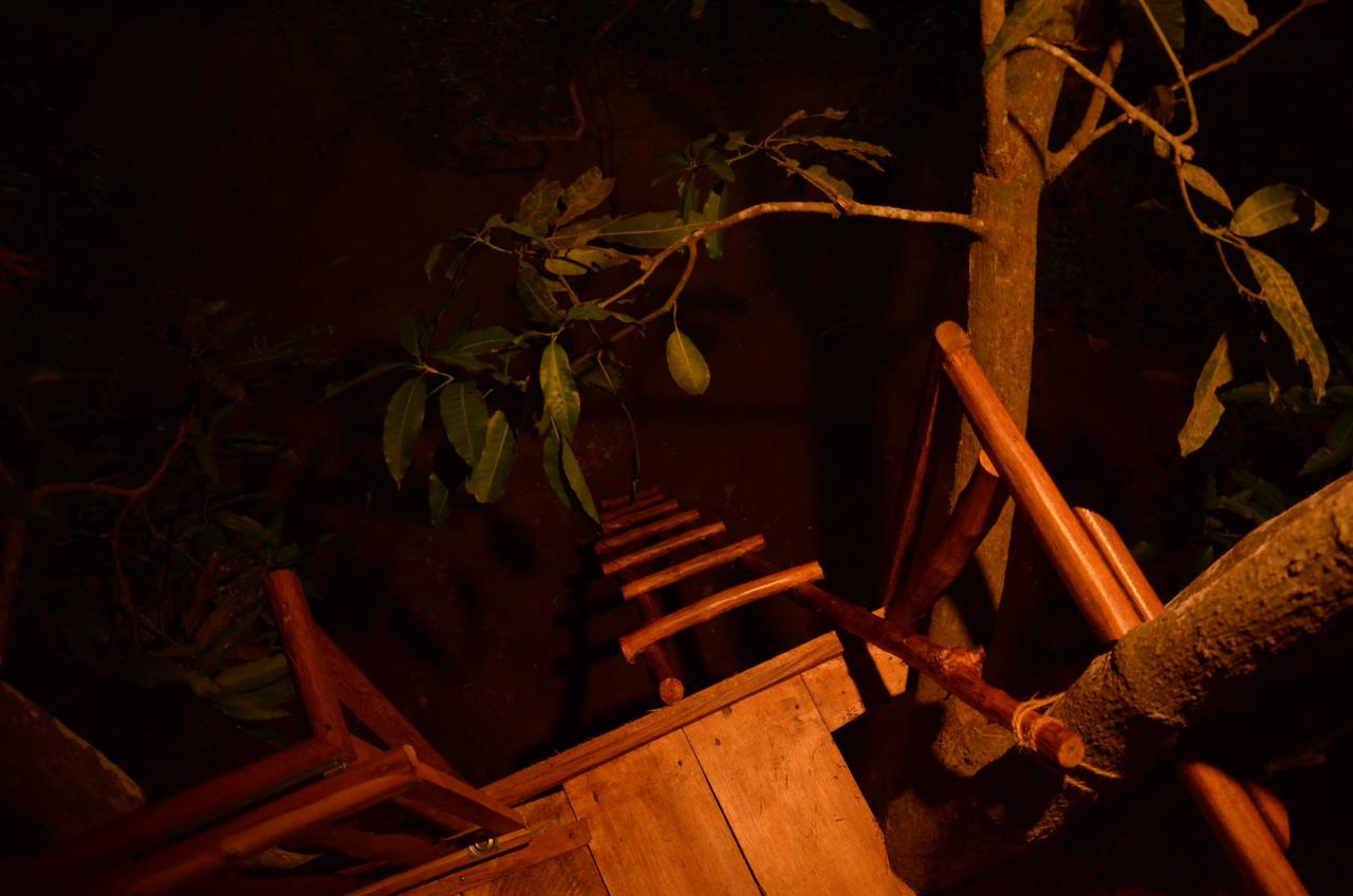 Villa Tree House-Midigama Weligama Exterior foto