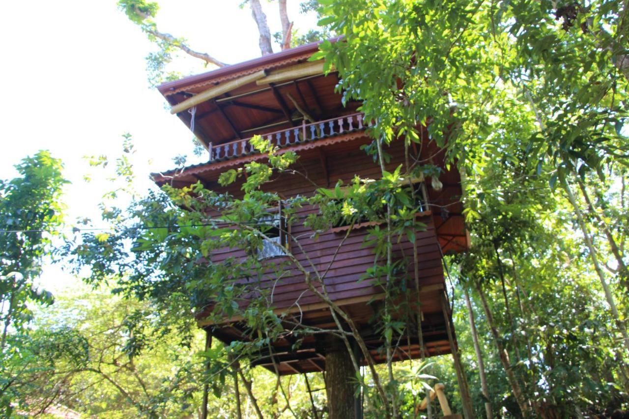 Villa Tree House-Midigama Weligama Exterior foto