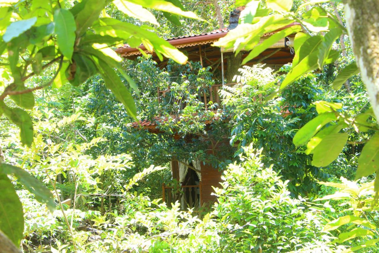 Villa Tree House-Midigama Weligama Exterior foto