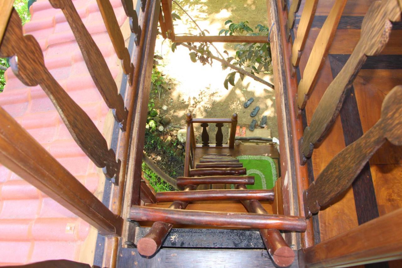 Villa Tree House-Midigama Weligama Exterior foto
