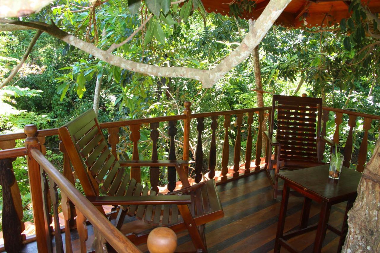 Villa Tree House-Midigama Weligama Exterior foto
