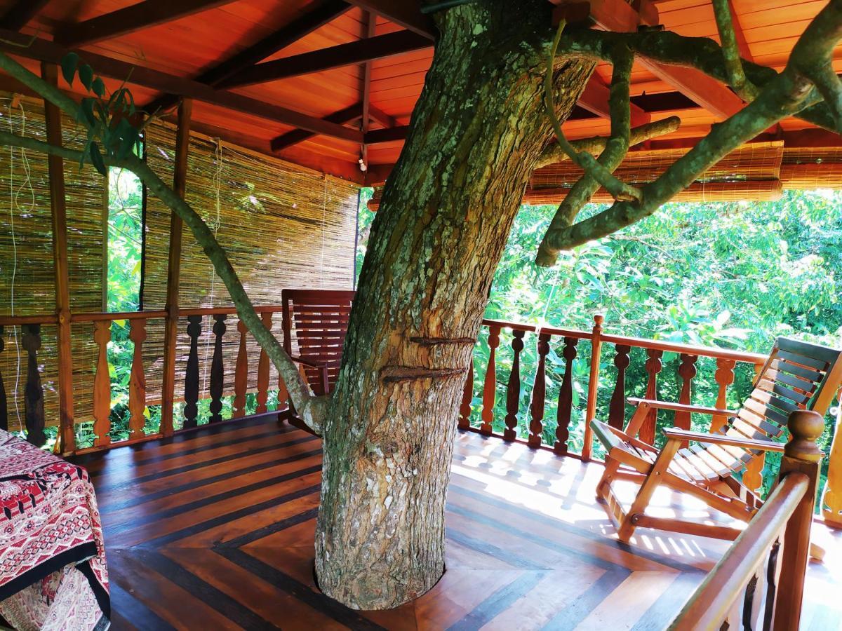 Villa Tree House-Midigama Weligama Exterior foto